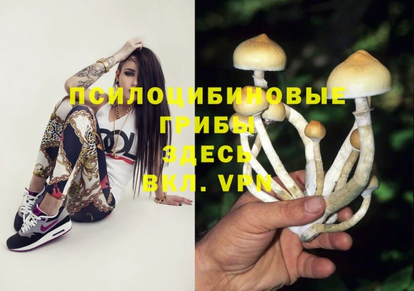 ешки Абаза
