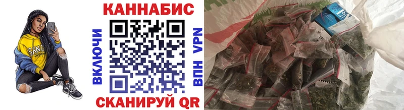 Бошки Шишки сатива  закладки  Тбилисская 